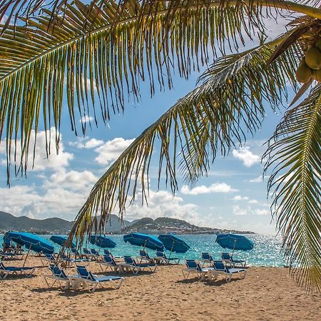 El Zafiro Boutique Hotel Maho Reef Eksteriør bilde
